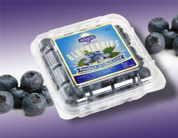 Portfolio Packaging